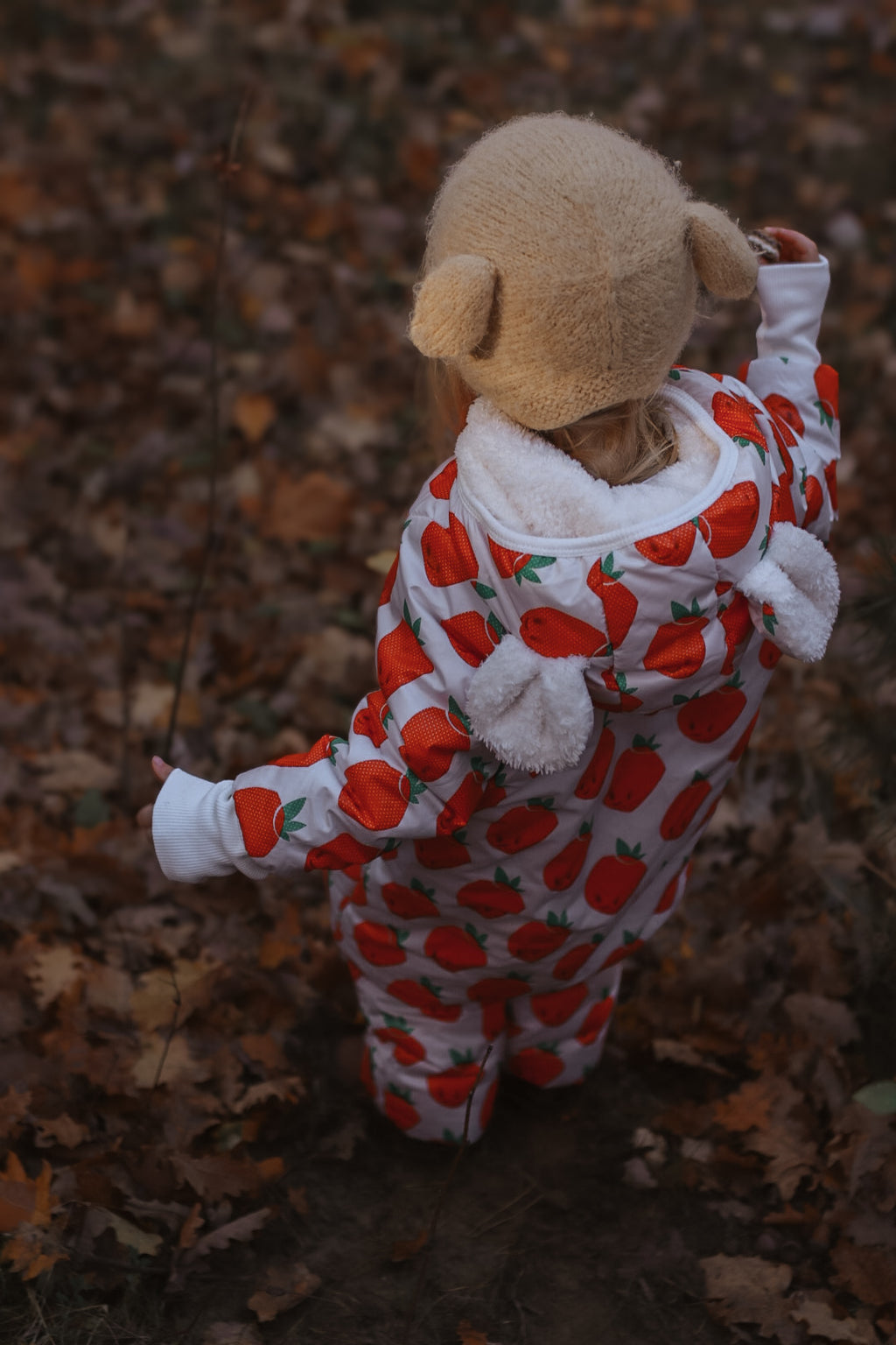 Talvihaalari teddyvuorella, mansikat, kuva 4