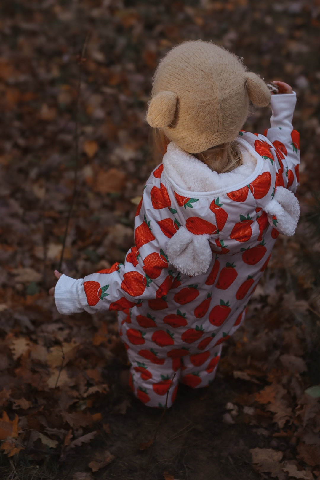 Talvihaalari teddyvuorella, mansikat, kuva 4