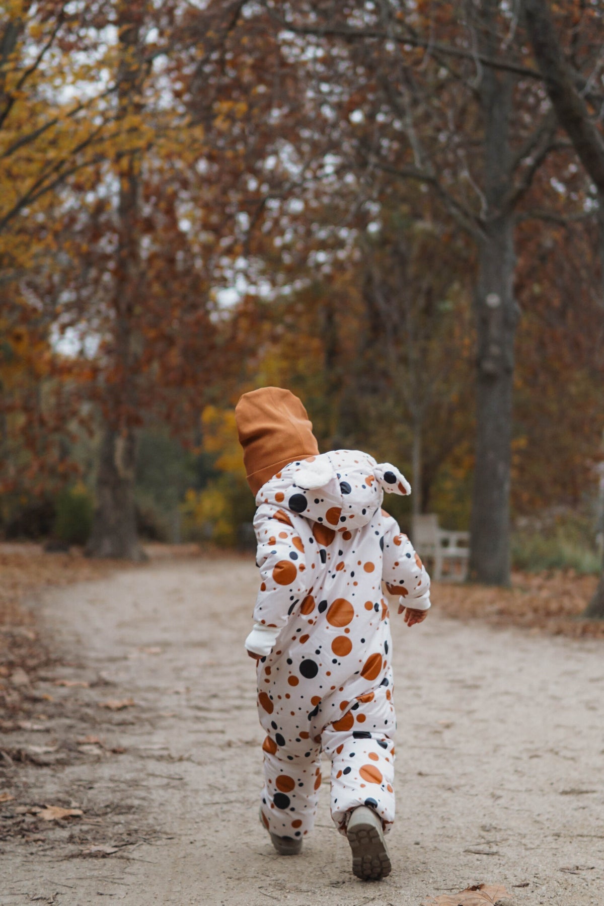 Talvihaalari teddyvuorella, oranssit pilkut mustalla, kuva 4