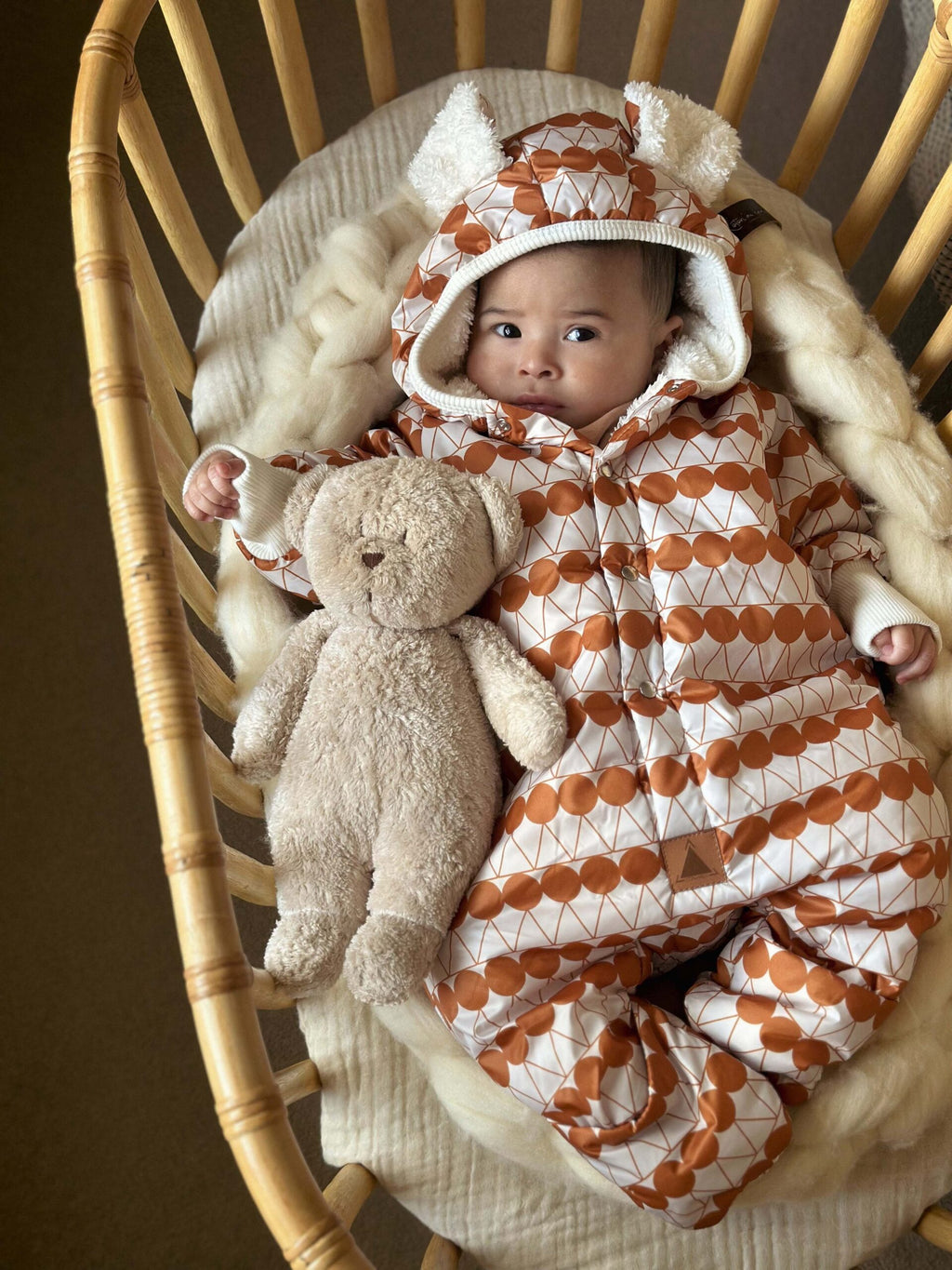Talvihaalari teddyvuorella, oranssit pilkut, kuva 4