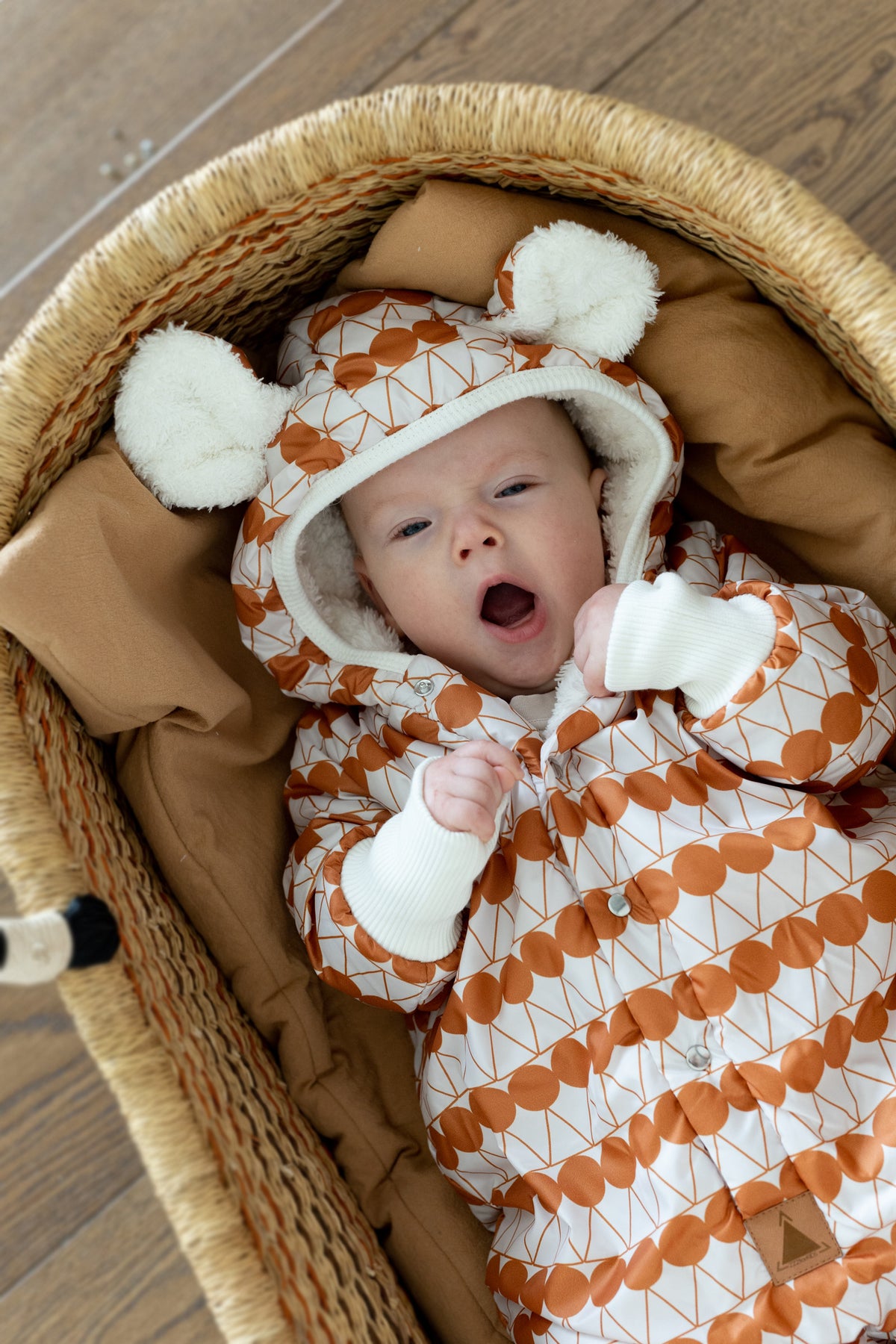 Talvihaalari teddyvuorella, oranssit pilkut, kuva 3