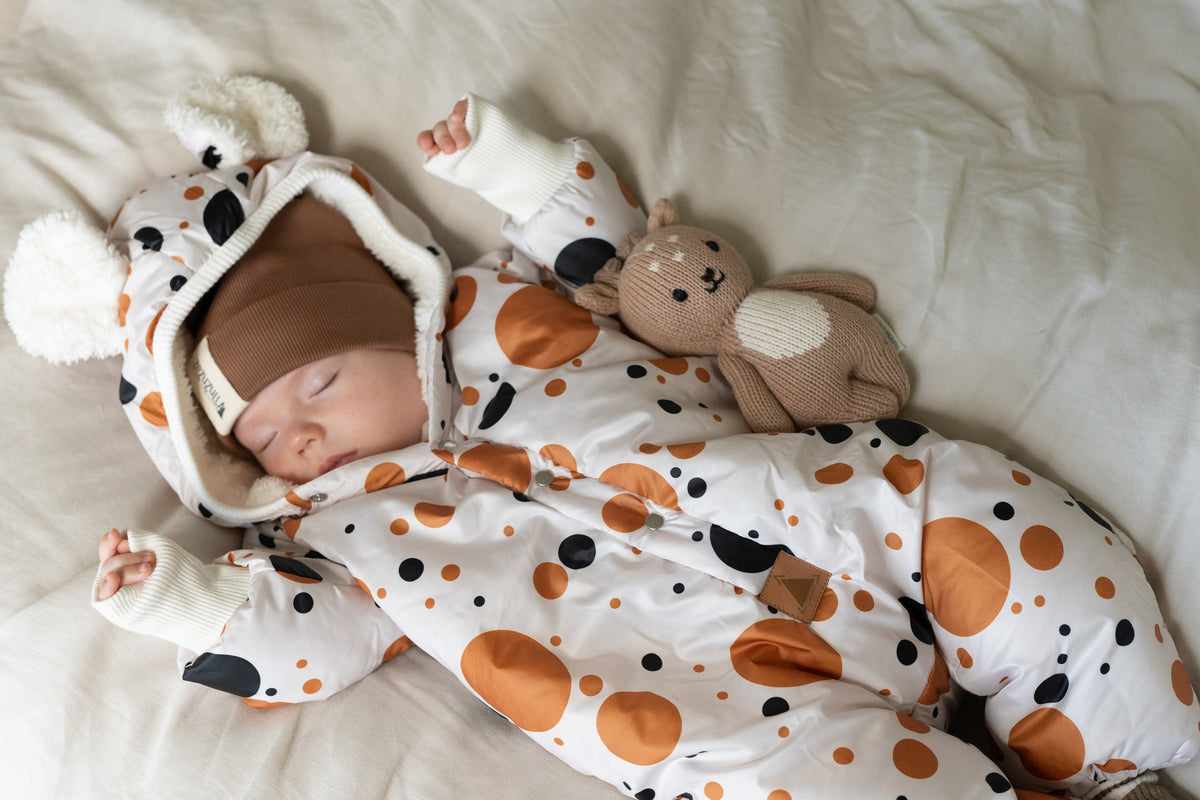 Talvihaalari teddyvuorella, oranssit pilkut mustalla, kuva 2